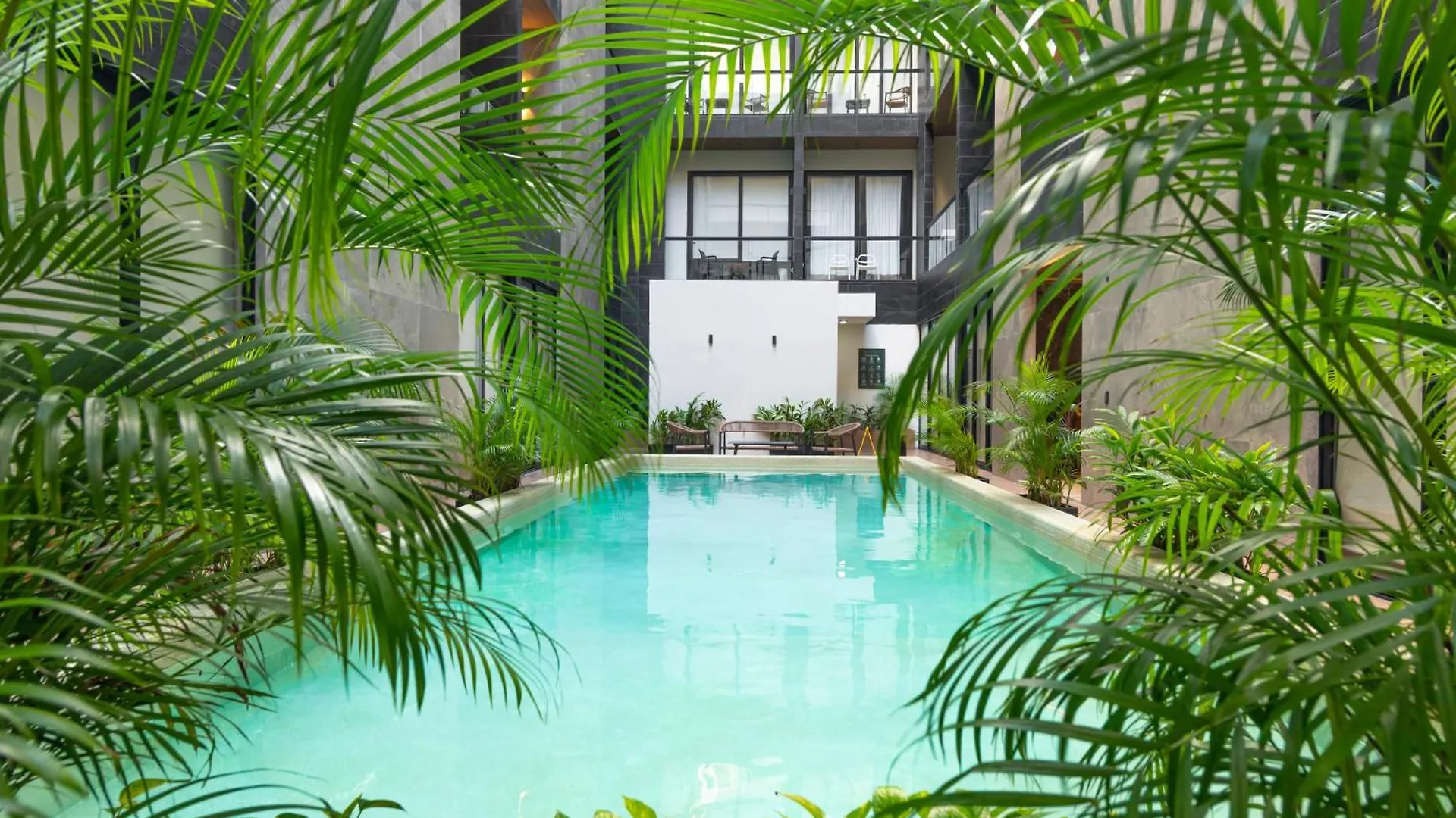 Musa Del Carmen By Boutique Apartments Mx Playa del Carmen